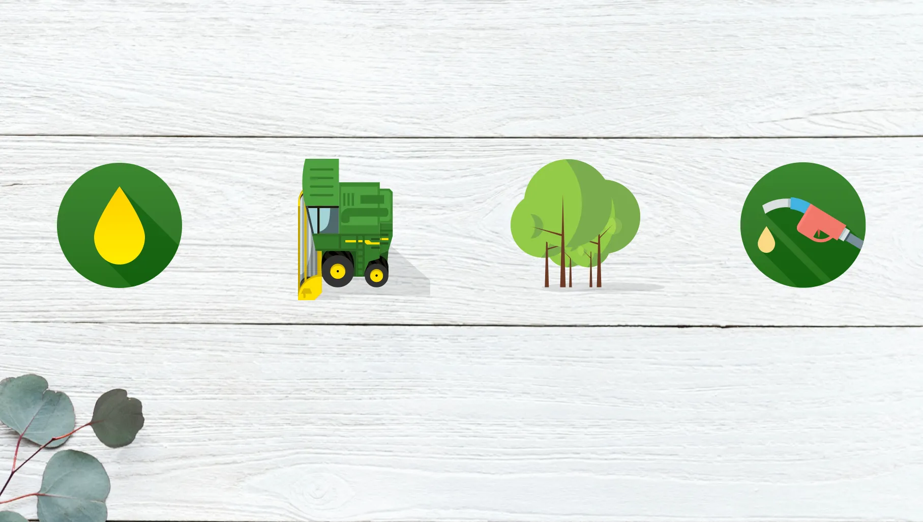 Icons and illustrations for mobile app